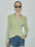 PISTACHIO GREEN
